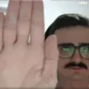 flamingoLeaves emote for Discord