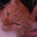 Floof emote for Discord