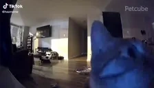 flashbang emote for Discord