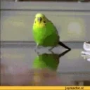 flashback emote for Discord