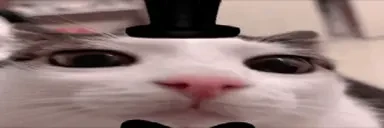 fnafplinK emote for Discord