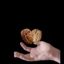 fmeNuss emote for Discord