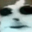 Fmmr emote for Discord