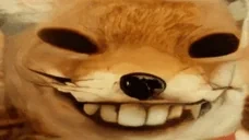 foxdding emote for Discord