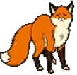 foxDance emote for Discord
