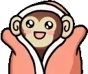 fonkymonky emote for Discord