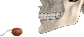 ForkBite emote for Discord