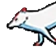 FoxrunLeft emote for Discord