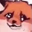foxNOO emote for Discord