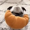 food emote for Discord