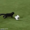 football emote for Discord