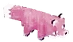 FoxTwirl emote for Discord