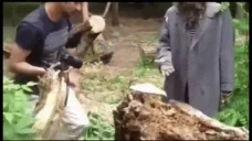 food emote for Discord