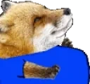 FoxFat emote for Discord