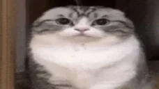 food emote for Discord