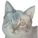 foiltoast emote for Discord