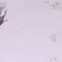 forgDed emote for Discord