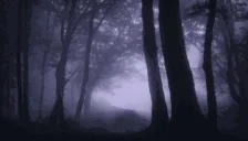 Forest emote for Discord