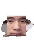 fobfob emote for Discord