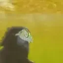 forsenYellowWater emote for Discord