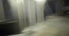 FOODISHERE emote for Discord