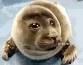 foca emote for Discord