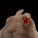 fotmvibe emote for Discord