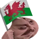 forsenWales emote for Discord