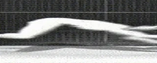 foge2 emote for Discord