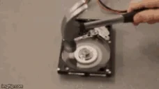 formatD emote for Discord