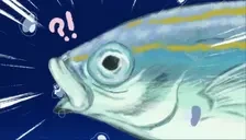 Fogg emote for Discord