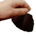 ForbiddenPet emote for Discord