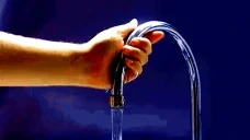 fosid emote for Discord