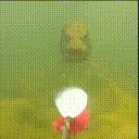 FishBait emote for Discord