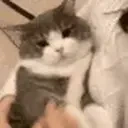 fingerBite emote for Discord