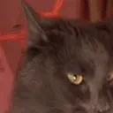 FishuJAM emote for Discord