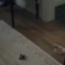 FinleyPoop emote for Discord