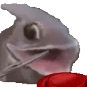 FishMash emote for Discord