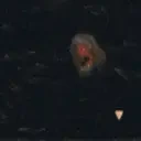 FishBlessing emote for Discord