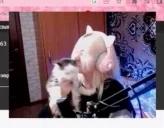 fiyakiss emote for Discord