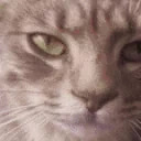 FinnJam emote for Discord