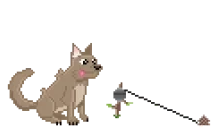 fishtime emote for Discord