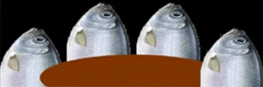 FischeStammfisch emote for Discord