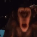 FikuHype emote for Discord