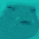 FishHUH emote for Discord