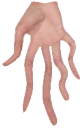 finglizzy emote for Discord