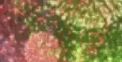 fireworks emote for Discord