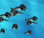 FindigsSchool emote for Discord