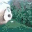 fish emote for Discord