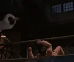 Finisher emote for Discord